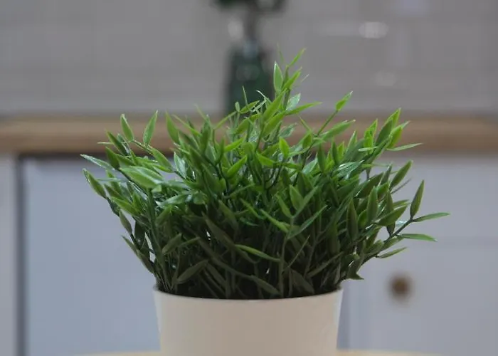 Torre De Ambroz アパート *